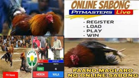 online sabong pitmaster